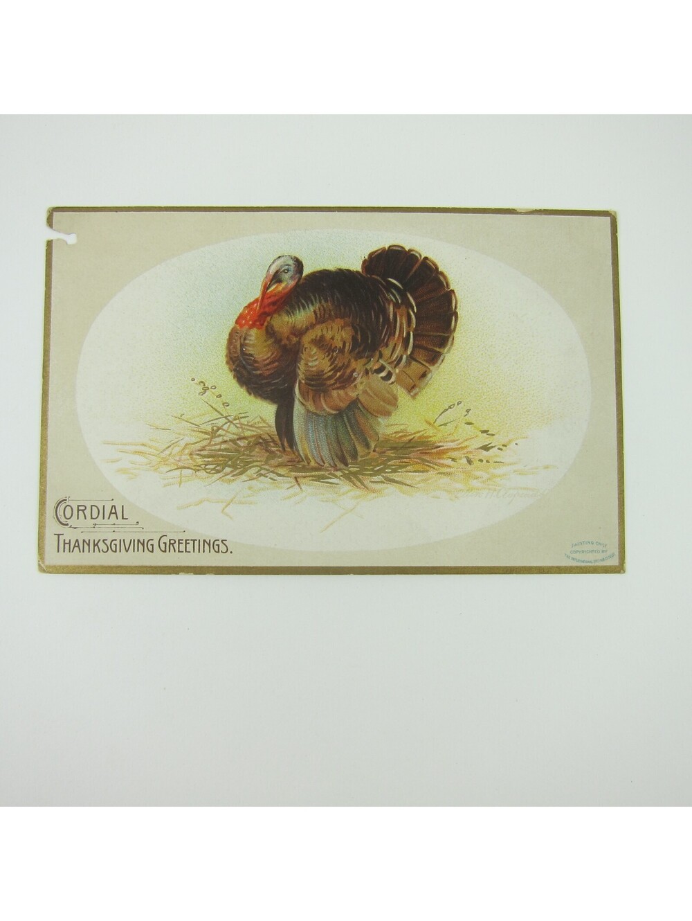 Thanksgiving Postcard Wild Turkey Embossed Ellen Clapsaddle Antique